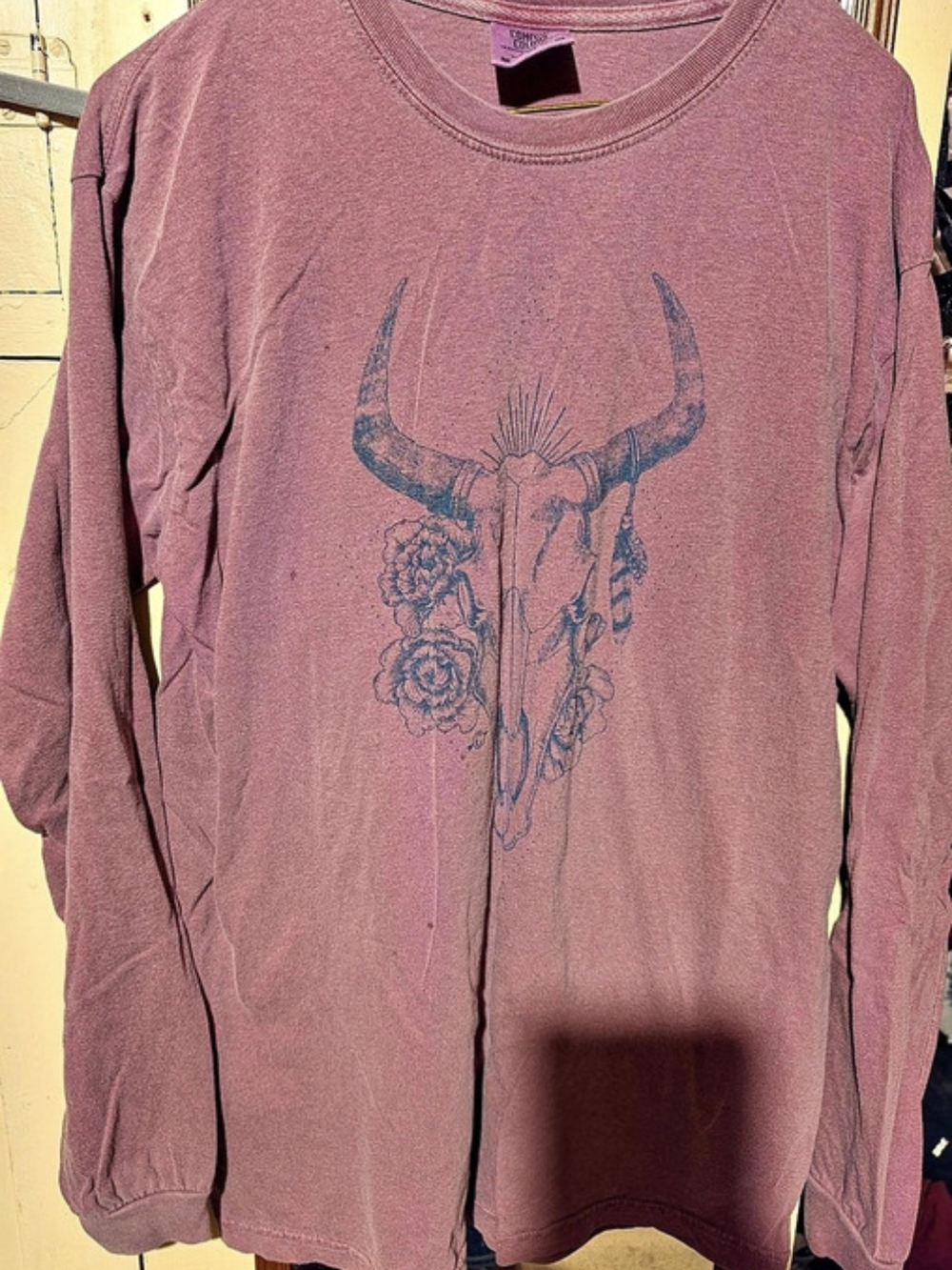 Comfort Colors Long Sleeve Graphic Tee in Purple